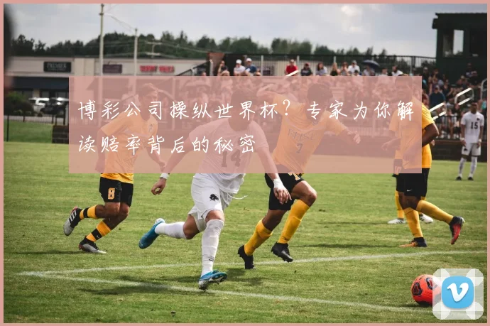 博彩公司操纵世界杯？专家为你解读赔率背后的秘密