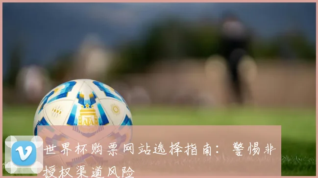世界杯购票网站选择指南：警惕非授权渠道风险