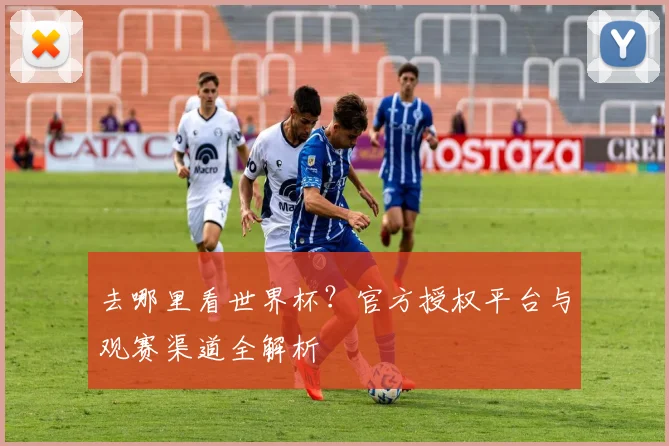 去哪里看世界杯?官方授权平台与观赛渠道全解析