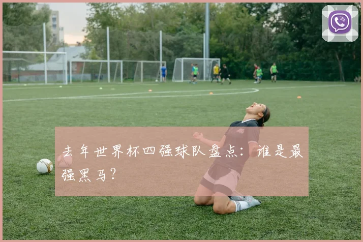 去年世界杯四强球队盘点:谁是最强黑马?